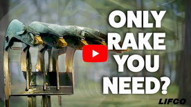 A thumbnail of a video